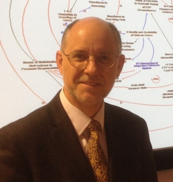 Professor David C. Lane invited speaker at Operational Research Society special interest group